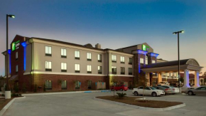 Holiday Inn Express Hotel & Suites Morgan City- Tiger Island by IHG